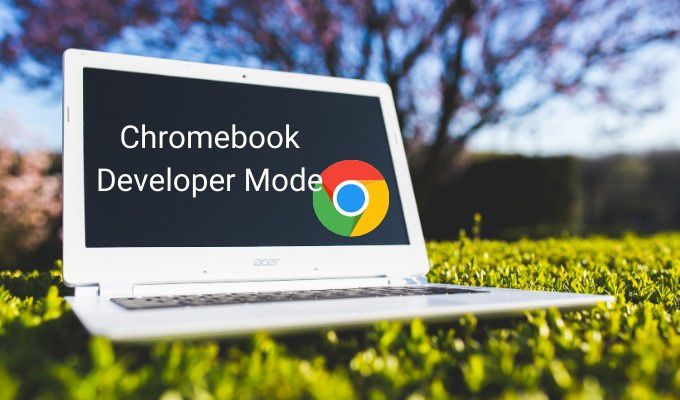 Everything You Need To Know About Chrome OS Developer Mode 